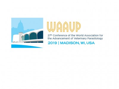 Meet us at WAAVP 2019!